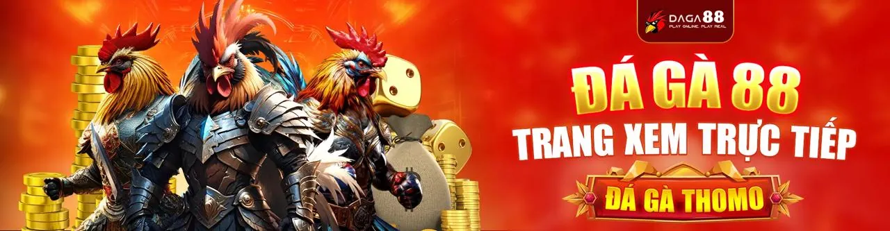 Đá gà trực tuyến tại FI88 - Đấu trường giải trí đỉnh cao